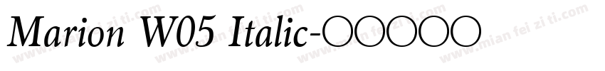 Marion W05 Italic字体转换